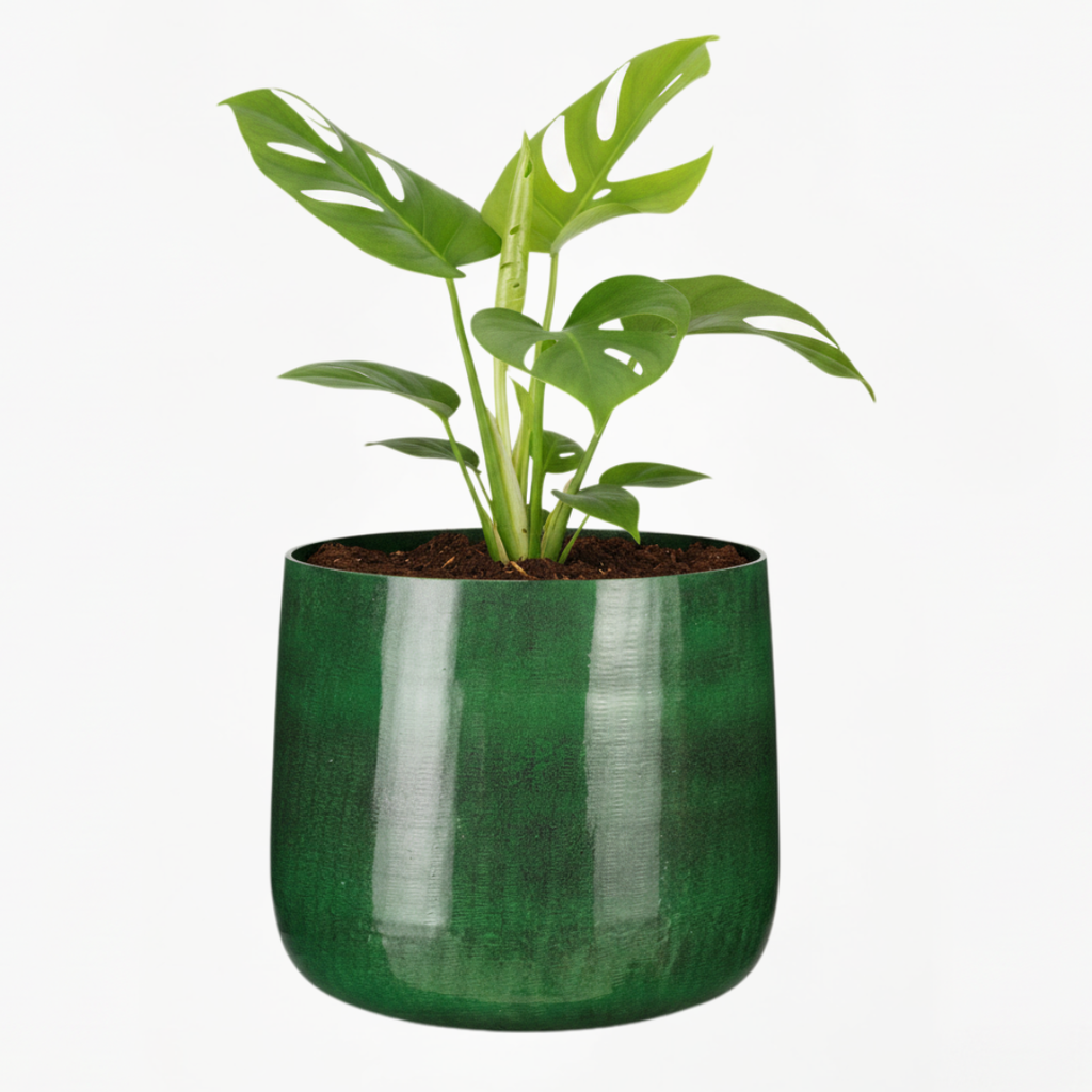 Jardinière en métal vert foncé de style industriel – Pot de fleurs