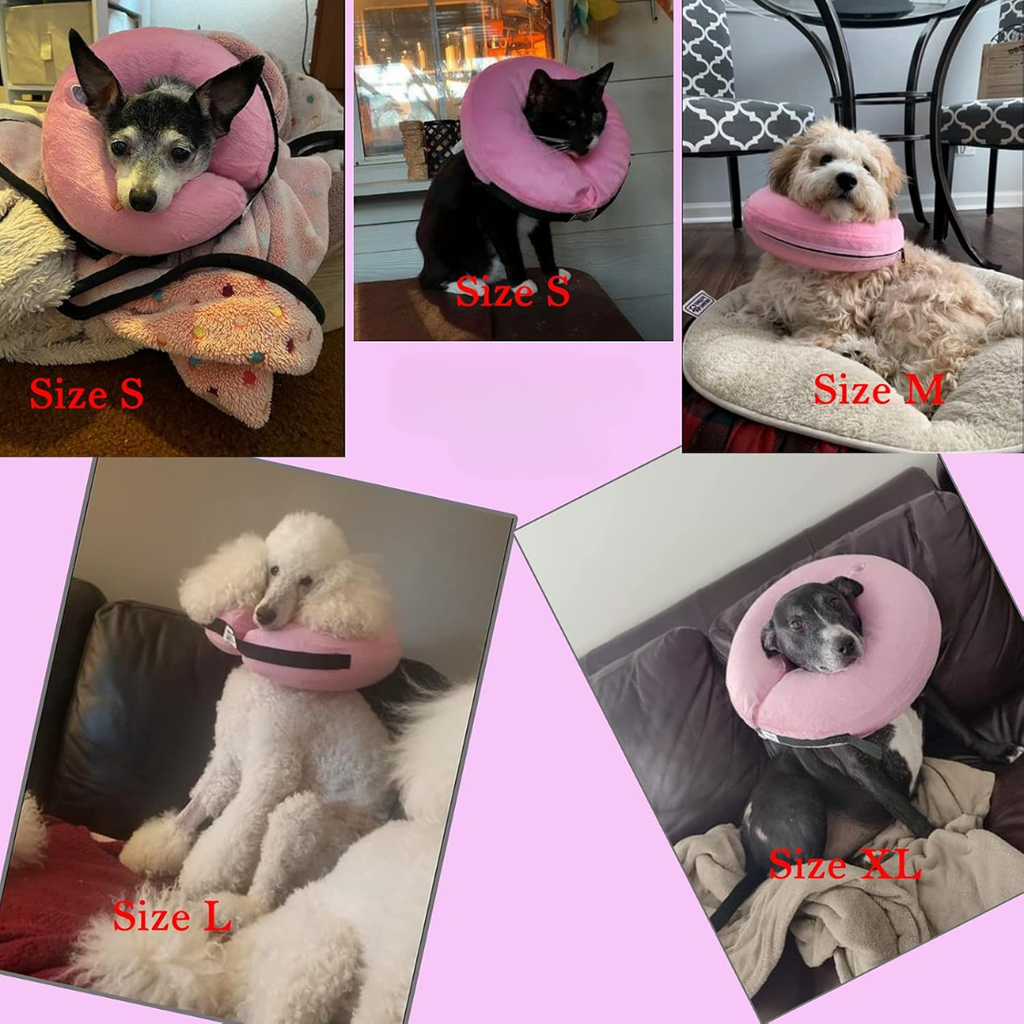 Collier gonflable de récupération pour chien après une opération - Alternative douce et confortable à la collerette pour les animaux