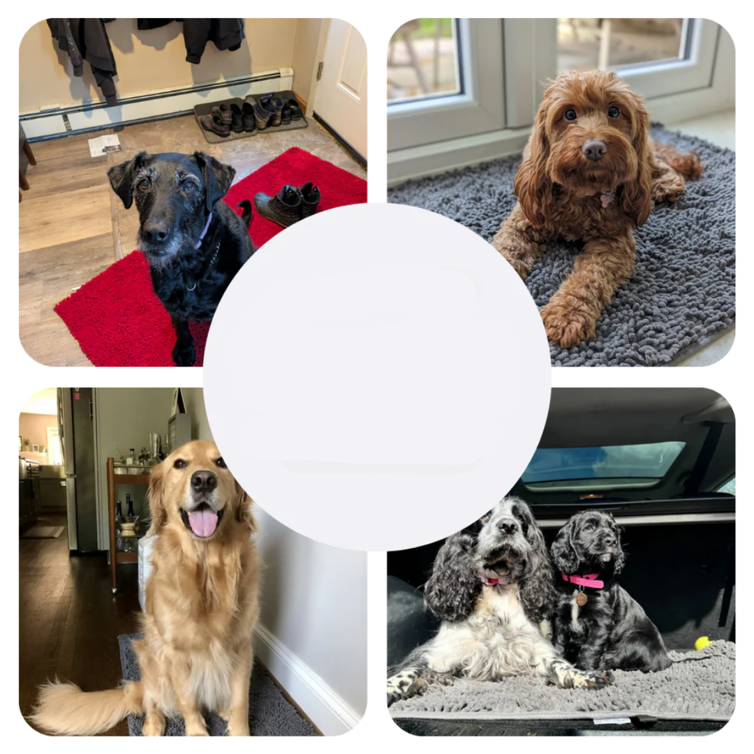 Ultra-Absorbent Dog Mat for Wet Paws – Fast-Drying Floor Protector for Entrances, Crates and Pet Areas