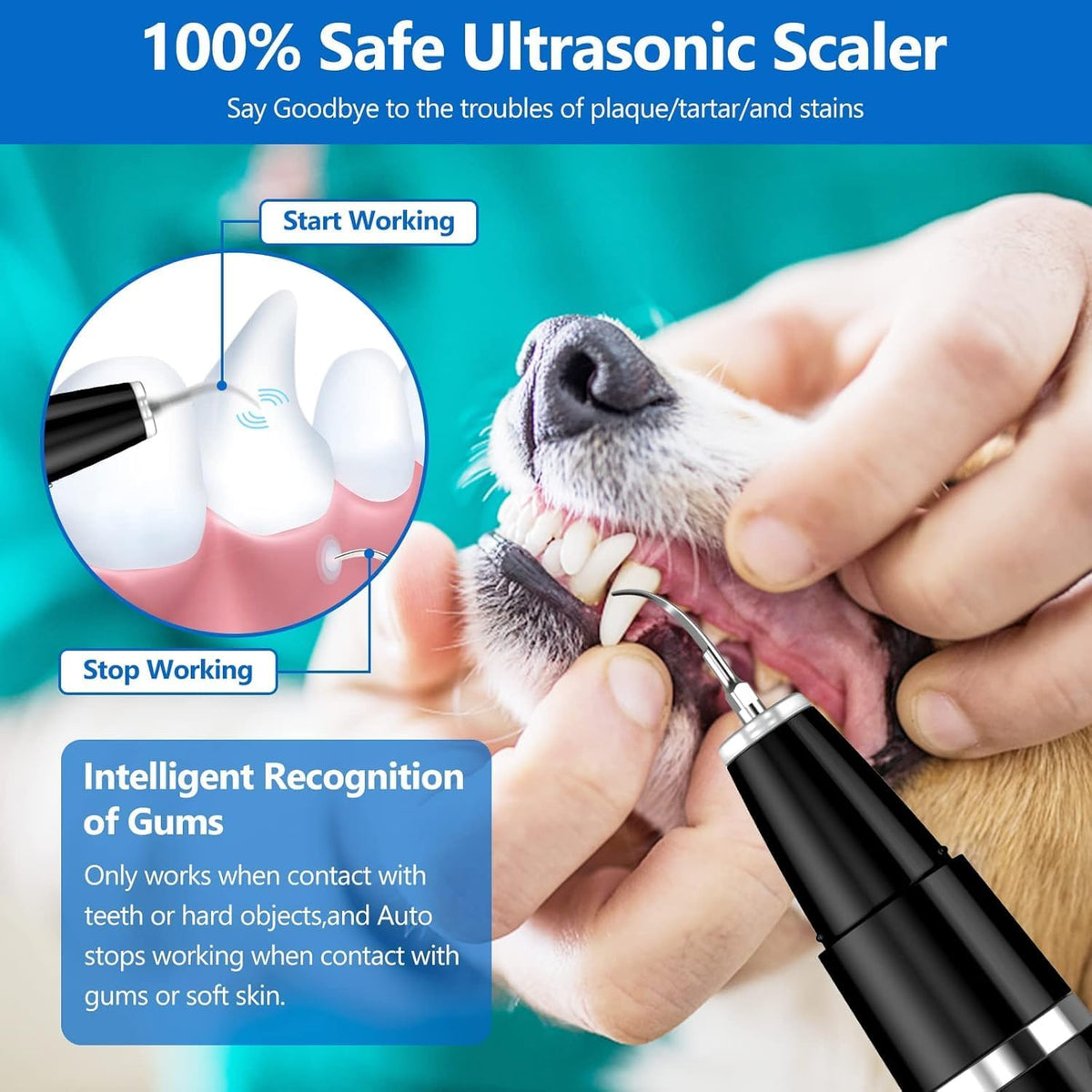 Ultrasonic Pet Tooth Cleaner for Home Use – Gentle Plaque Removal Tool for Dogs and Cats Oral Care