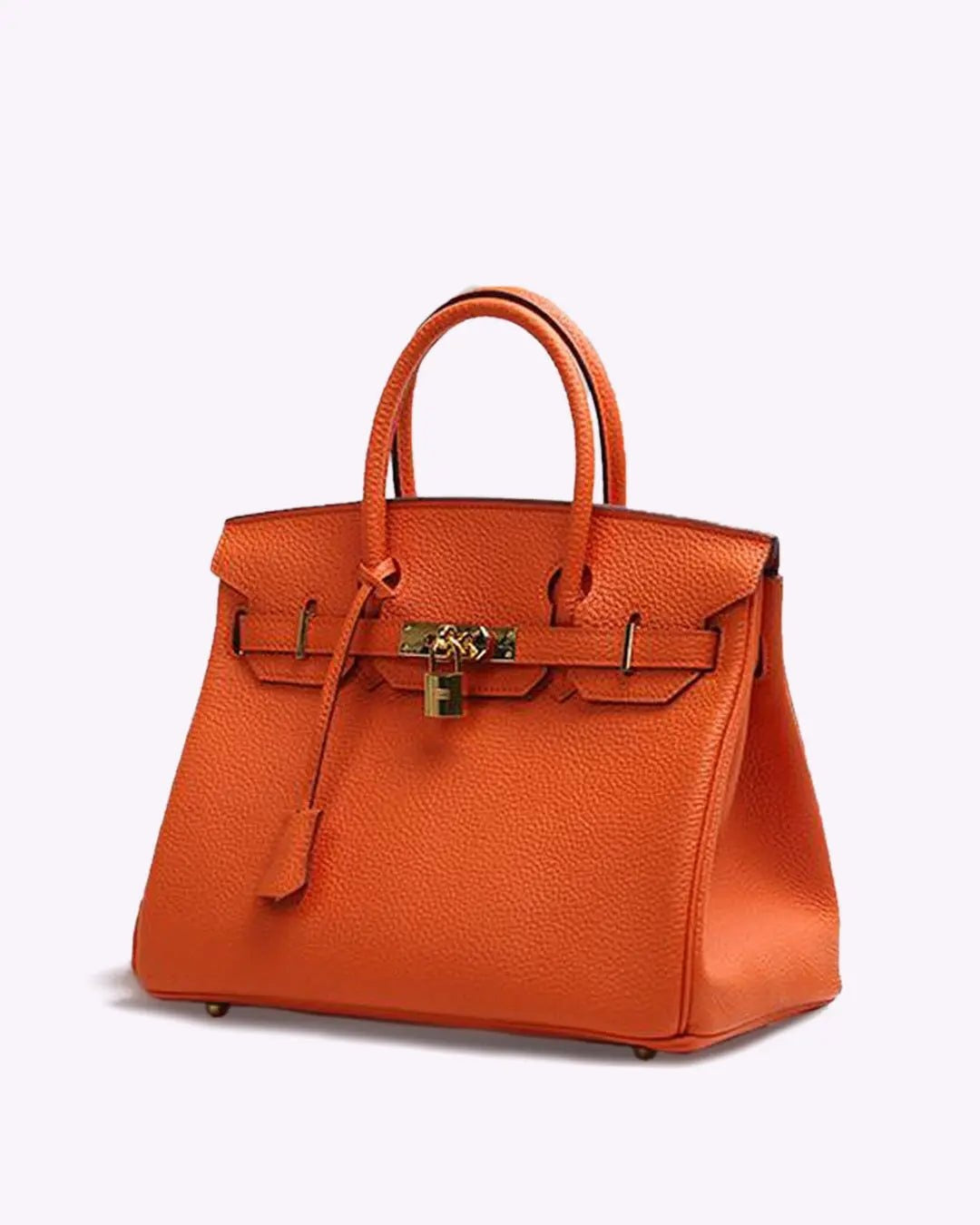 Sac à main élégant en cuir pour femme avec fermeture chic