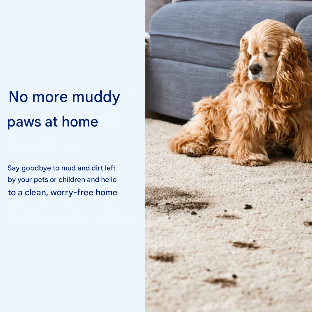Ultra-Absorbent Dog Mat for Wet Paws – Fast-Drying Floor Protector for Entrances, Crates and Pet Areas