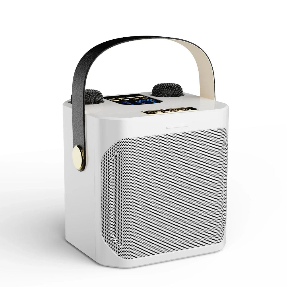 Système d’enceinte karaoké portable avec son à 360° et deux microphones sans fil - Parfait pour les fêtes en intérieur et en extérieur