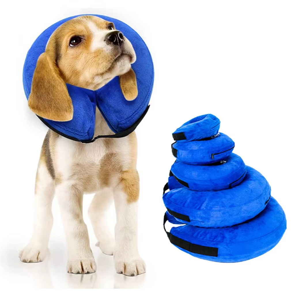 Collier gonflable de récupération pour chien après une opération - Alternative douce et confortable à la collerette pour les animaux