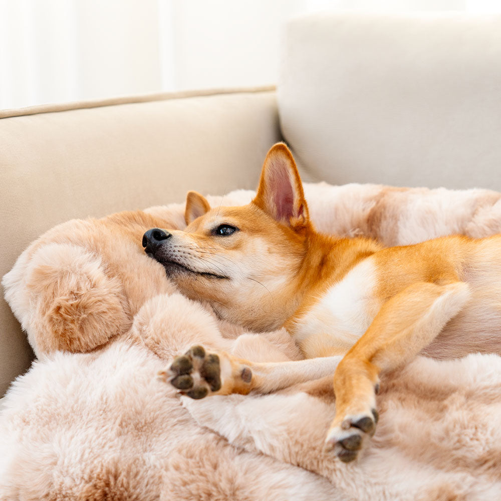 Cozy Plush Dog Bed for Everyday Comfort – Soft Supportive Pet Bed for Rest, Sleep and Relaxation