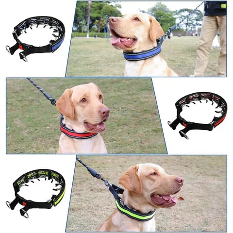 Dog Prong Training Collar with Reflective Cover and Quick-Release Buckle for Controlled Walks - Image 3