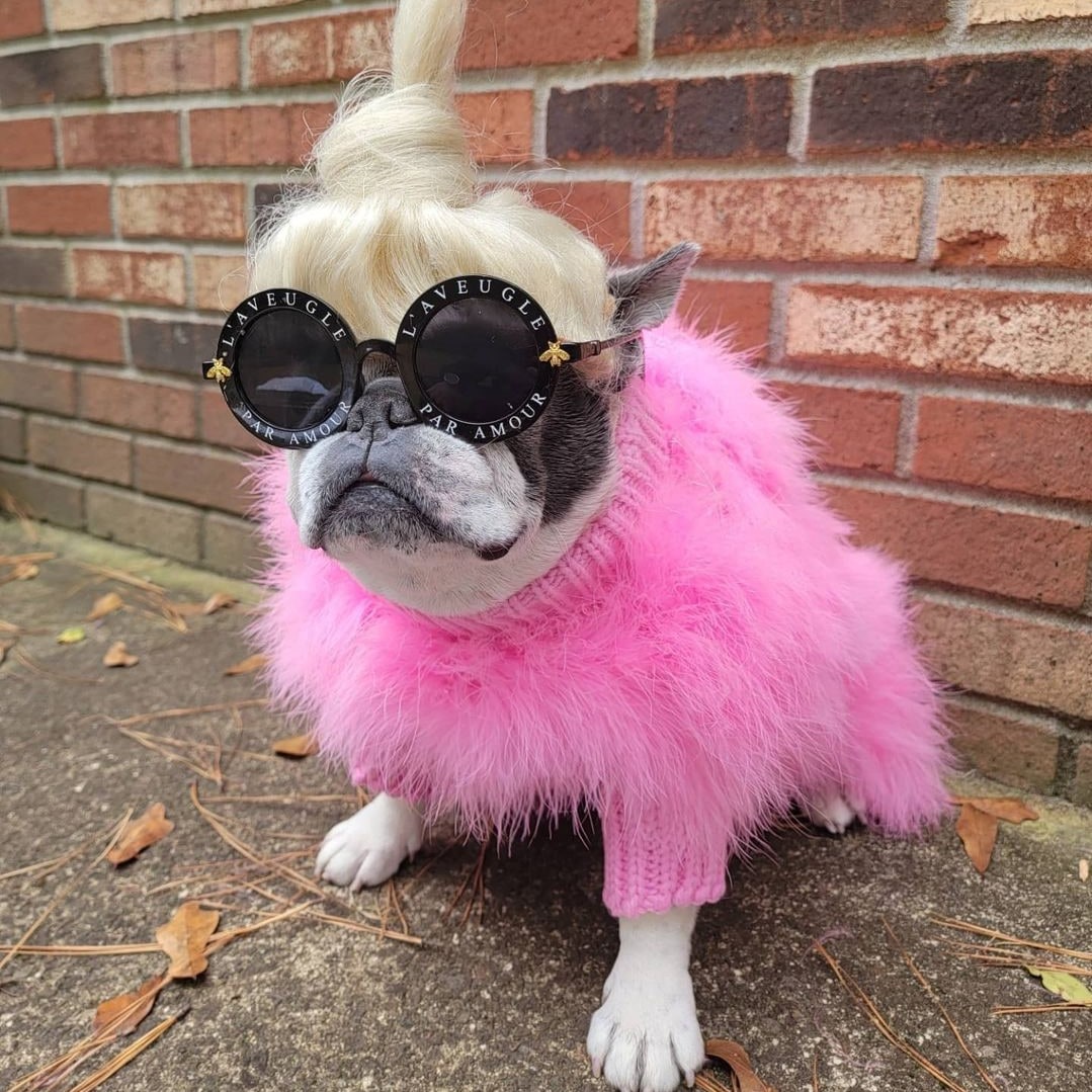 Dog Sweater with Fluffy Faux Feather Body and Ribbed Knit Turtleneck - Image 3