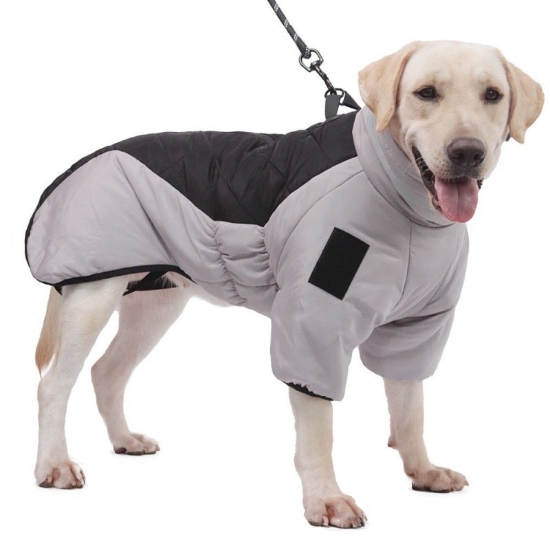 Dog Winter Coat with Waterproof Shell and Reflective Stripe for Large - Image 9