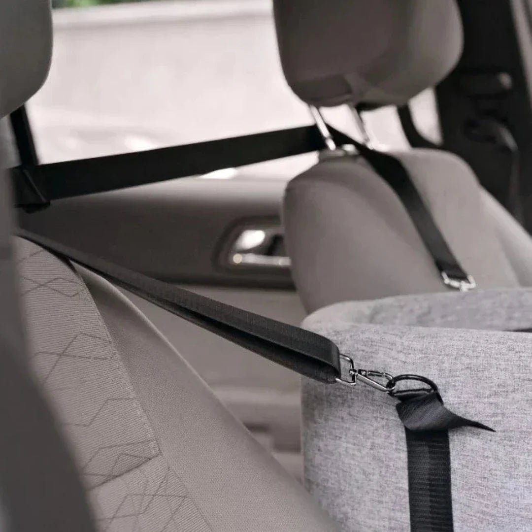 Siège-auto pour animal pour voyager en toute sécurité - Siège confortable pour chiens et chats pendant les trajets en voiture