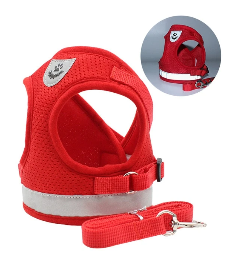 Ensemble harnais et laisse pour chat pour les aventures en plein air - Harnais réglable et confortable pour des promenades et un dressage en toute sécurité