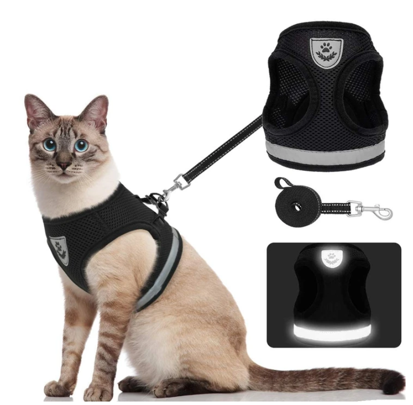 Ensemble harnais et laisse pour chat pour les aventures en plein air - Harnais réglable et confortable pour des promenades et un dressage en toute sécurité