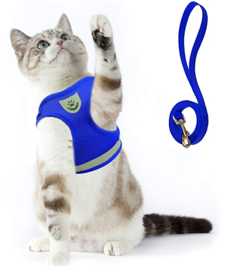 Ensemble harnais et laisse pour chat pour les aventures en plein air - Harnais réglable et confortable pour des promenades et un dressage en toute sécurité