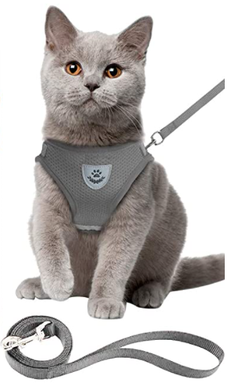 Ensemble harnais et laisse pour chat pour les aventures en plein air - Harnais réglable et confortable pour des promenades et un dressage en toute sécurité