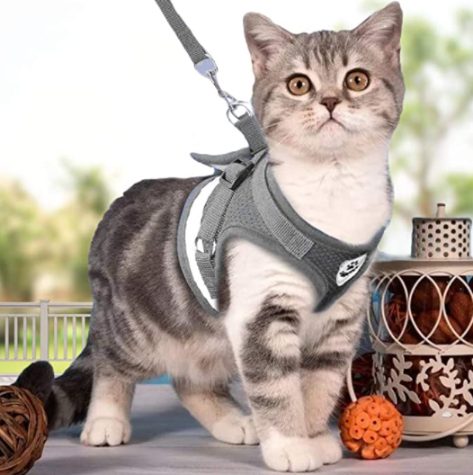 Katzengeschirr- und Leinenset für Outdoor-Abenteuer – Verstellbares, bequemes Geschirr für sichere Spaziergänge und Training