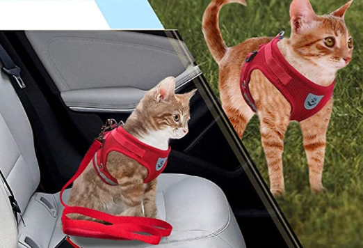 Katzengeschirr- und Leinenset für Outdoor-Abenteuer – Verstellbares, bequemes Geschirr für sichere Spaziergänge und Training