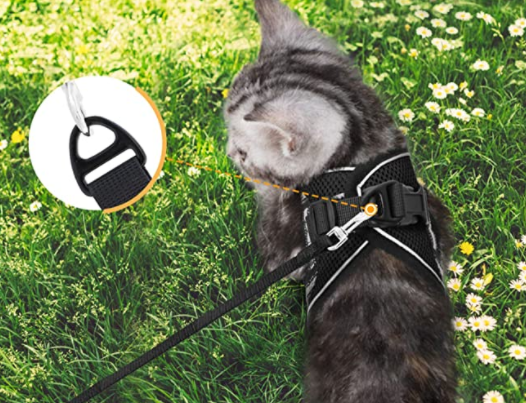 Ensemble harnais et laisse pour chat pour les aventures en plein air - Harnais réglable et confortable pour des promenades et un dressage en toute sécurité