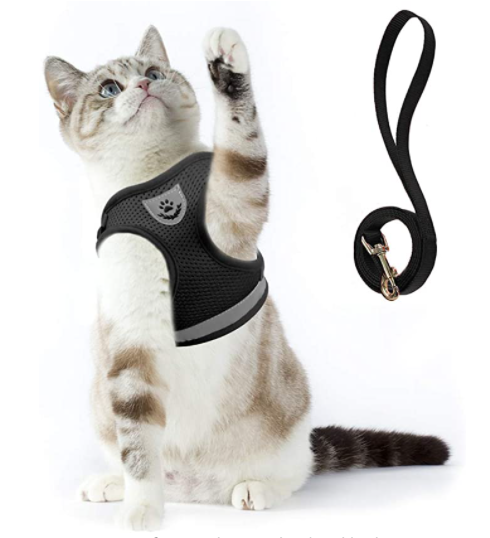 Ensemble harnais et laisse pour chat pour les aventures en plein air - Harnais réglable et confortable pour des promenades et un dressage en toute sécurité