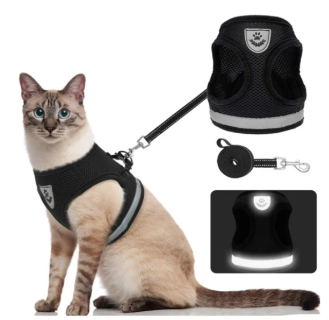Ensemble harnais et laisse pour chat pour les aventures en plein air - Harnais réglable et confortable pour des promenades et un dressage en toute sécurité