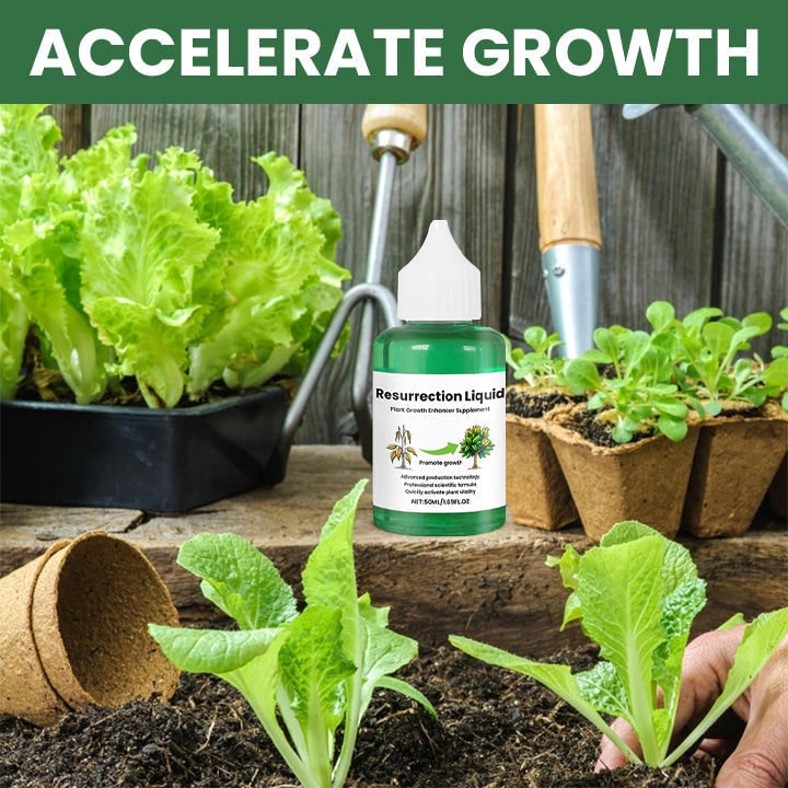 Liquid Plant Fertilizer for Tomato Citrus and Indoor Houseplants with Dropper Bottle - Image 3