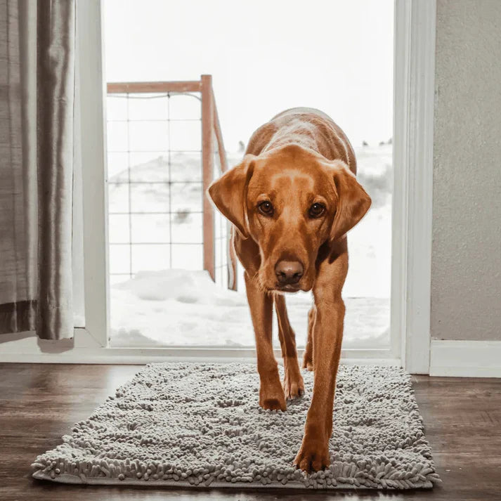 Ultra-Absorbent Dog Mat for Wet Paws – Fast-Drying Floor Protector for Entrances, Crates and Pet Areas